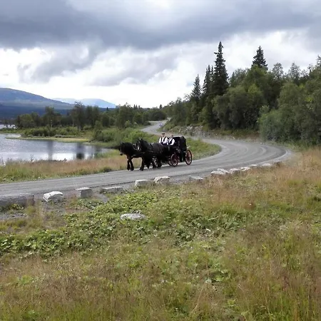 Daire Bergfosshytta 1 Sor Ron