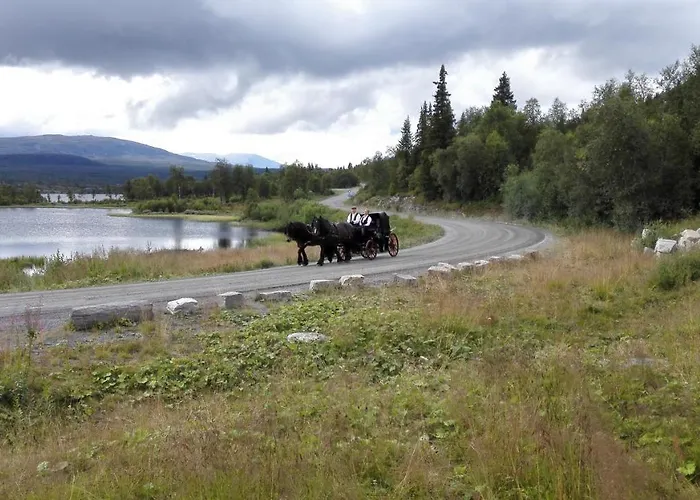 Lägenhet Bergfosshytta 1 Sor Ron